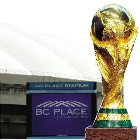 意甲球员身,价降幅排行,弗拉霍维奇,世界杯投注,2026世界杯,投注策略,赔率分析,赛事预测