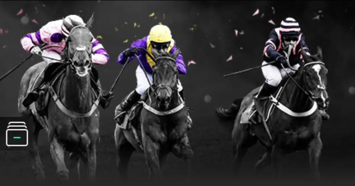 荷兰队海报,发布,加克波,世界杯投注,2026世界杯,投注策略,赔率分析,赛事预测