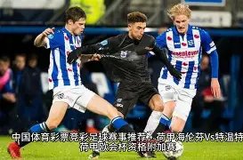 烏度卡精釀,陣容攻略,平衡發展,世界杯投注,2026世界杯,投注策略,赔率分析,赛事预测