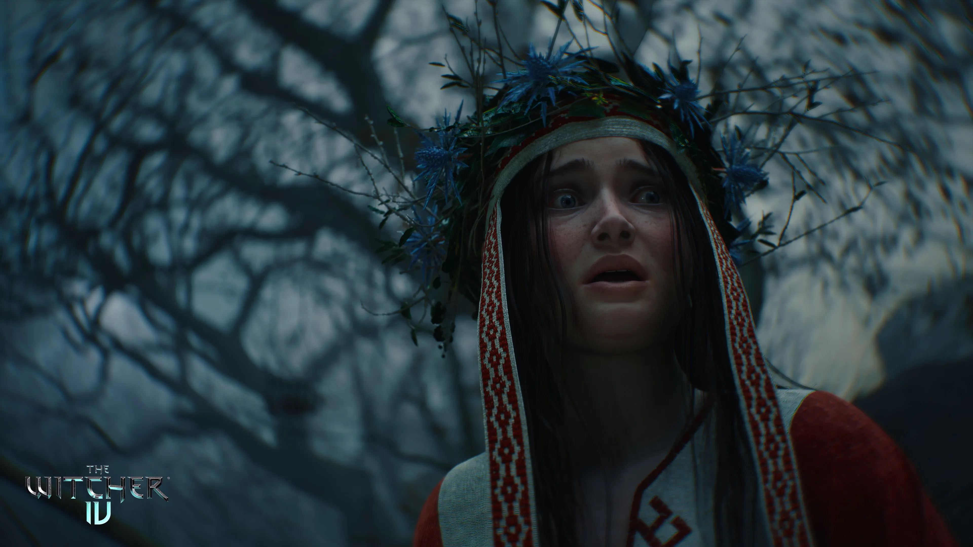 篮球迷必看,莫斯利领衔,顶尖战队,世界杯投注,2026世界杯,投注策略,赔率分析,赛事预测