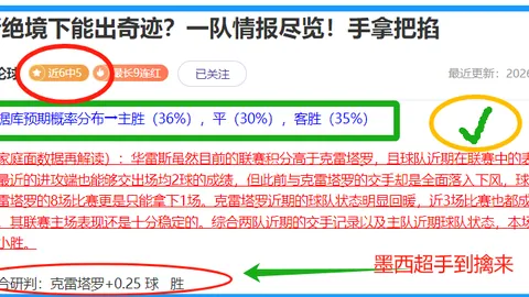 厄瓜甲山谷独立客场对决升班马 胜负预测及质合分析